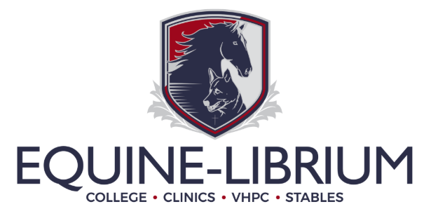 Equine-Librium