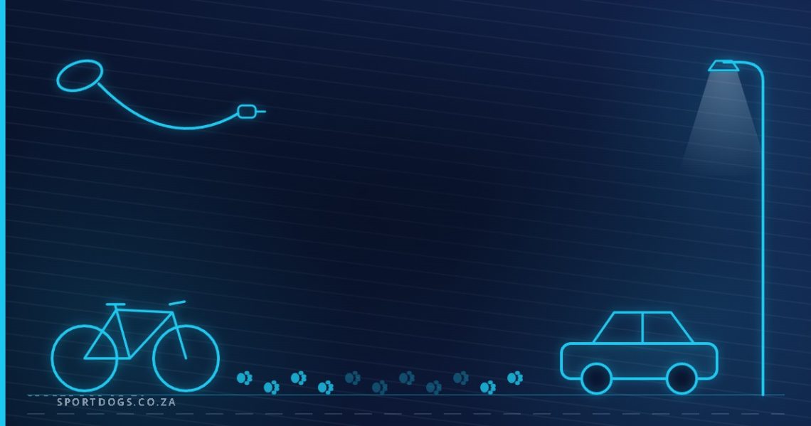 Illustration of a leash, bicycle, car and street lamp with a paw-print trail along a pavement on a navy background