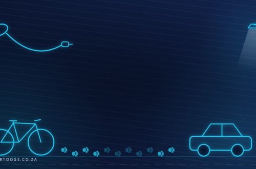 Illustration of a leash, bicycle, car and street lamp with a paw-print trail along a pavement on a navy background