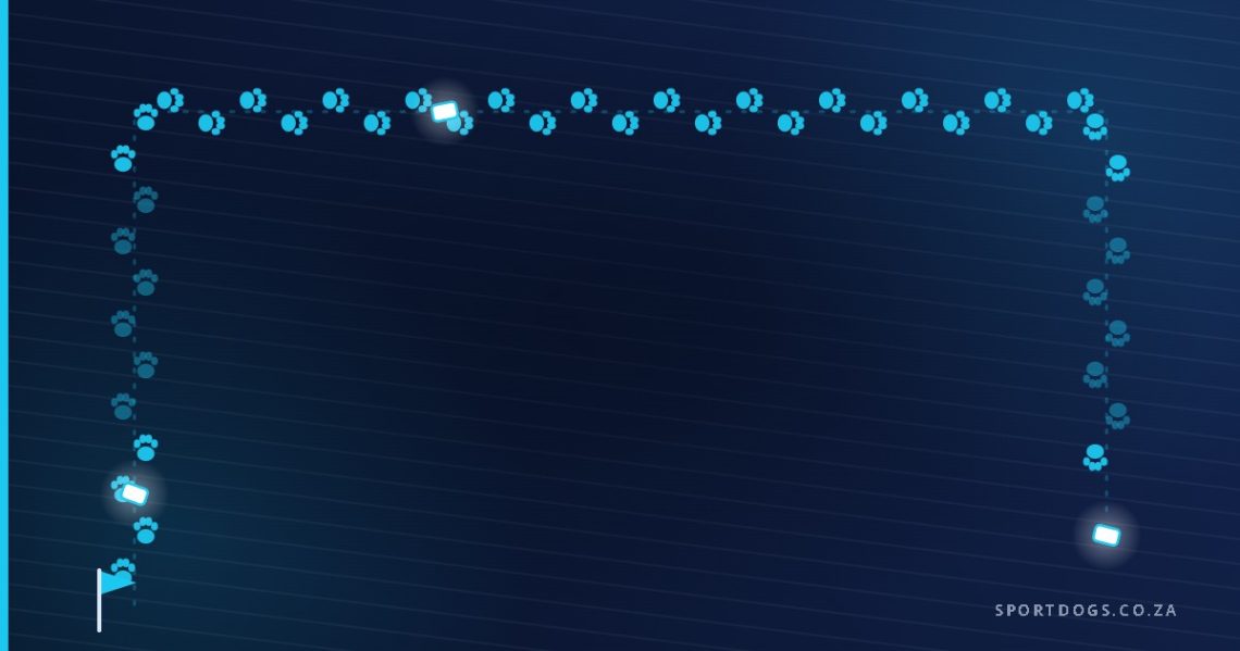 Illustration of an IGP track with paw prints, three articles and a start flag on a navy background