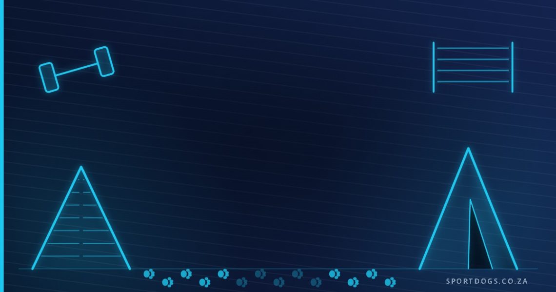Illustration of an IGP scaling wall, hurdle, dumbbell and protection blind with a paw-print heeling trail on a navy background