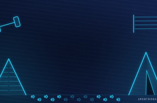 Illustration of an IGP scaling wall, hurdle, dumbbell and protection blind with a paw-print heeling trail on a navy background